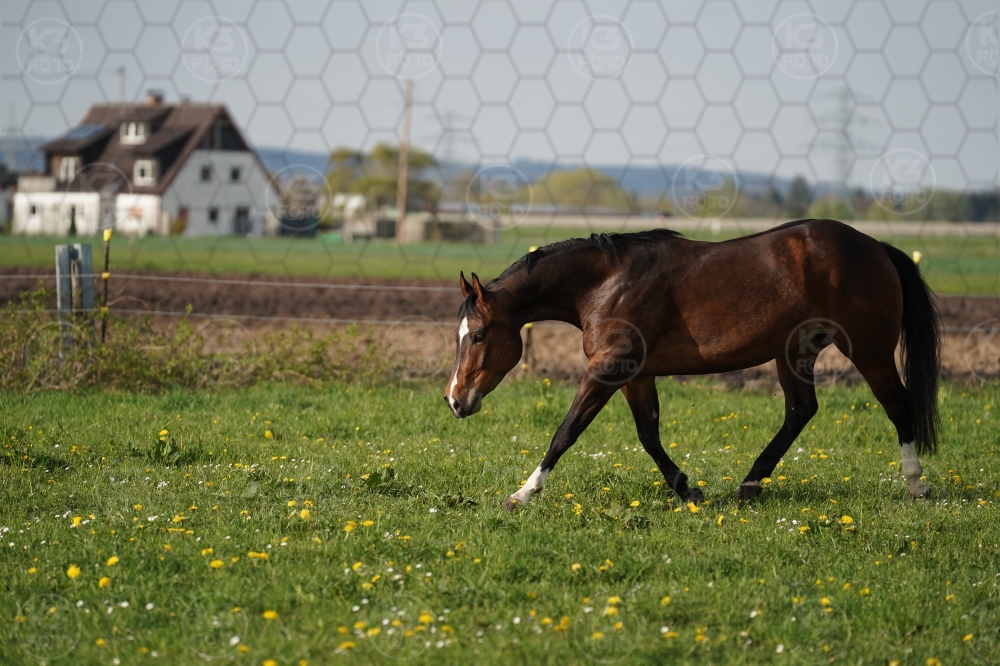 s_A9_09675.jpg